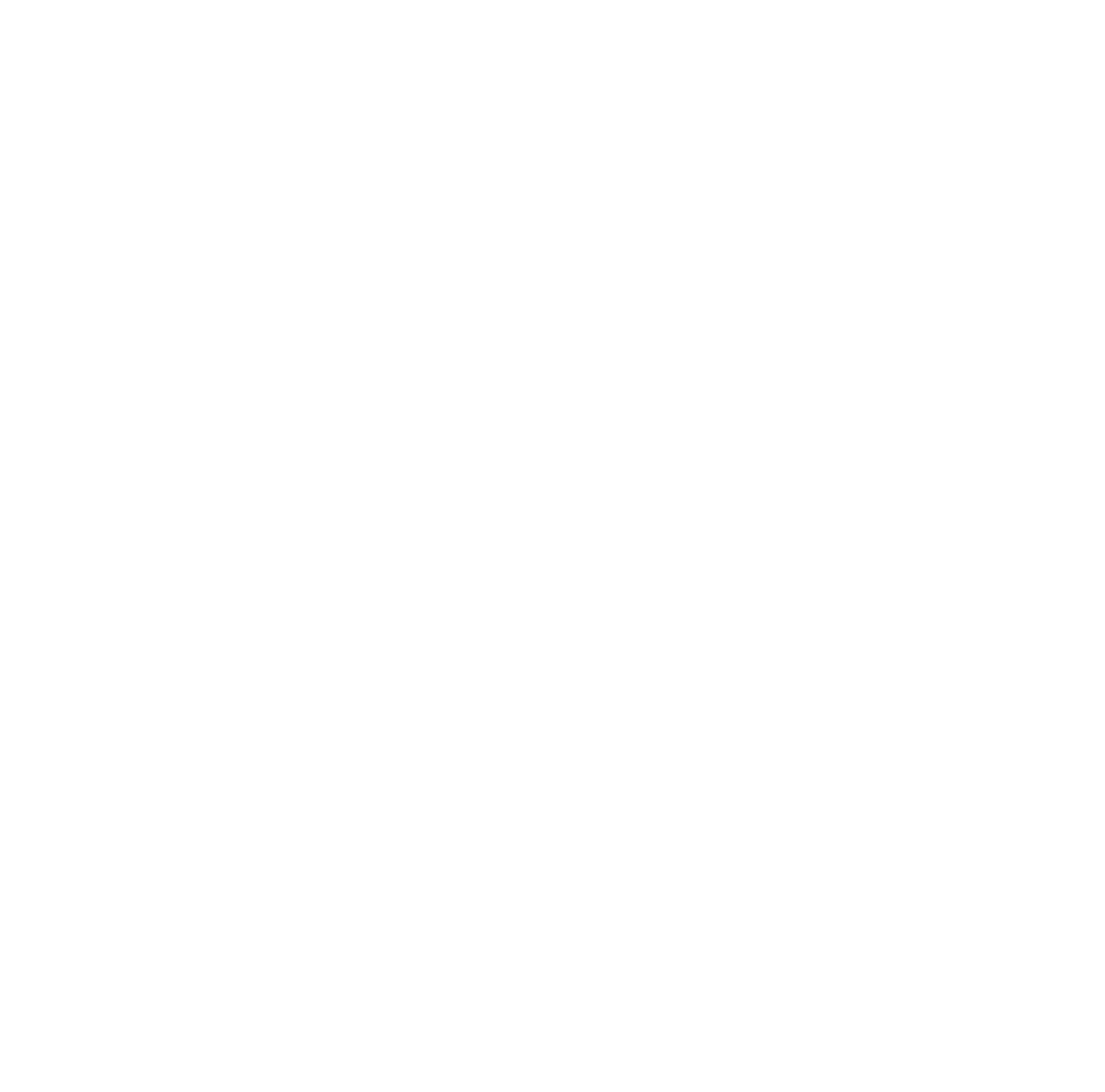 SmartCity Company